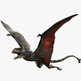 Peteinosaurus (Rigged) 3D model